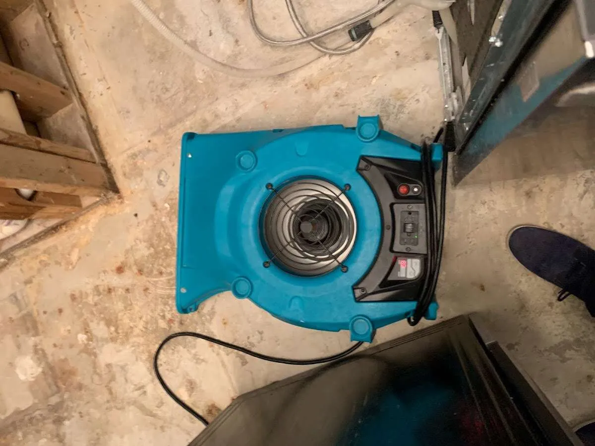 Air mover drying equipment for Mold Remediation & Removal in Georgetown